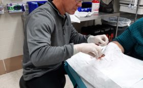Suturing a laceration – 2020